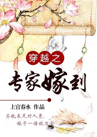 穿越之专家嫁到/娘子敌万金