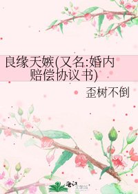良缘天嫉(又名:婚内赔偿协议书)