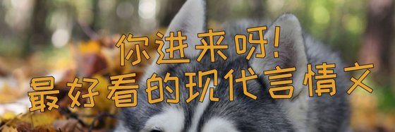 你進來呀！最好看的現代言情文
