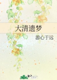 大清遗梦